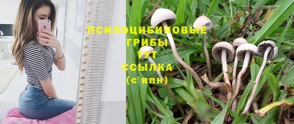 эйфоретик Алексин