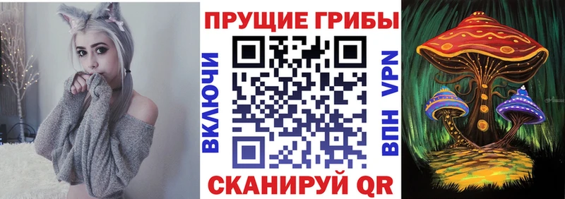 купить наркоту Бобров Галлюциногенные грибы ЛСД